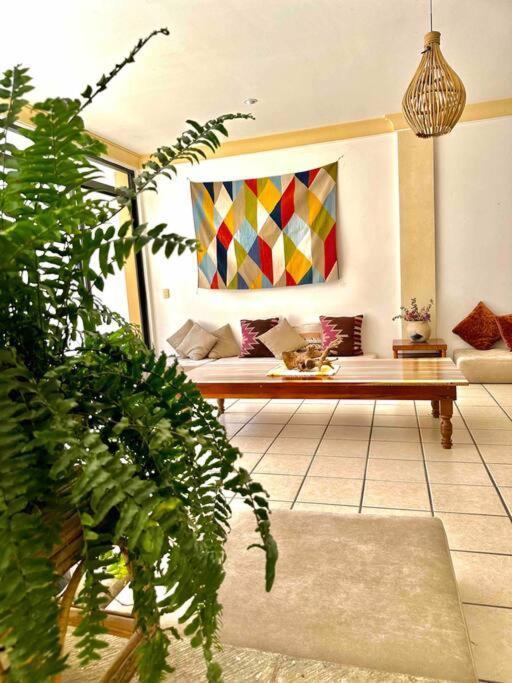 Casa Ritual Villa Oaxaca Exterior photo